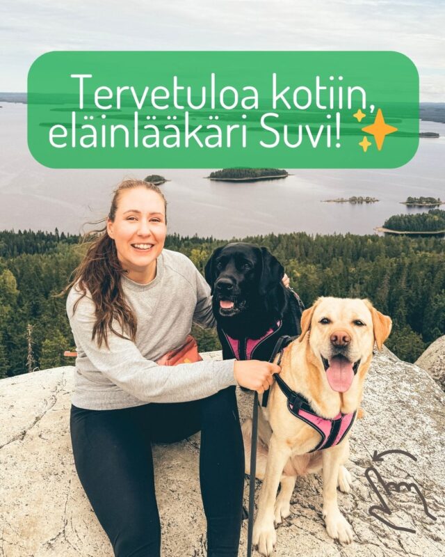 TERVETULOA KOTIIN, ELÄINLÄÄKÄRI SUVI! 🩺✨Meillä on valtava ilo kertoa, että maaliskuussa meiän tiimiin liittyy eläinlääkäri Suvi! Suvi on kotkasta kotoisin ja tuo nyt takaisin muuttaessaan mukanaan harvinaisen kovaa osaamista. 🇫🇮❤️Miksi Suvi on niin kova vahvistus?
Suvi on saanut praktiikkaoikeudet vuonna 2022, ja on työskennellyt siitä asti täyspäiväisesti pääkaupunkiseudun isossa eläinsairaalassa päivystys- ja teho-osastolla. 🏥💪 Suvi on hoitanut vuosia vaativimpia akuuttipotilaita ja tehnyt suuren määrän kiireellisiä leikkauksia.Intohimo työhön on vienyt Suvia eteenpäin niin, että tämän täyspäiväisen eläinlääkäriuran ohessa hän on viimeistellyt yliopistotutkintonsa ja valmistuu virallisesti lisensiaatiksi nyt keväällä 2026. 🎓✨
Tassulassa on siis juhlat luvassa!🥳Suvin asiantuntijuus pähkinänkuoressa:
✅ Vuosien kokemus: Sairaalaeläinlääkärinä vuodesta 2022.
✅ Akuutti- & tehohoito: Rautainen osaaja hätätapauksissa ja traumatologiassa.
✅ Kirurgia & Sisätaudit: Erityisosaamista pehmytkudoskirurgiasta ja vaativasta diagnostiikasta.
✅ Stressitön hoito: Syvällinen perehtyminen eläinten elekieleen ja pelkovapaaseen käsittelyyn. 🐈⬛🐕Suvin myötä pystymme tarjoamaan sun lemmikille entistäkin vaativampaa hoitoa Tassulan lämpimässä ja kiireettömässä ilmapiirissä.Ja mikä hienointa – nyt tätä koko Etelä-Kymenlaaksolle uutta osaamista on saatavissa ketjuklinikoiden ulkopuolella, 100 % suomalaiselta klinikalta. 🇫🇮💙Tervetuloa Tassulaan, Suvi! Laitetaanhan Suville lämmin vastaanotto kommentteihin? 👇❤️#Tassula #UusiTiimiläinen #Eläinlääkäri #Kotka #Huippuosaaminen #Akuuttihoito #TervetuloaKotiin #SuomenParasEläinklinikka