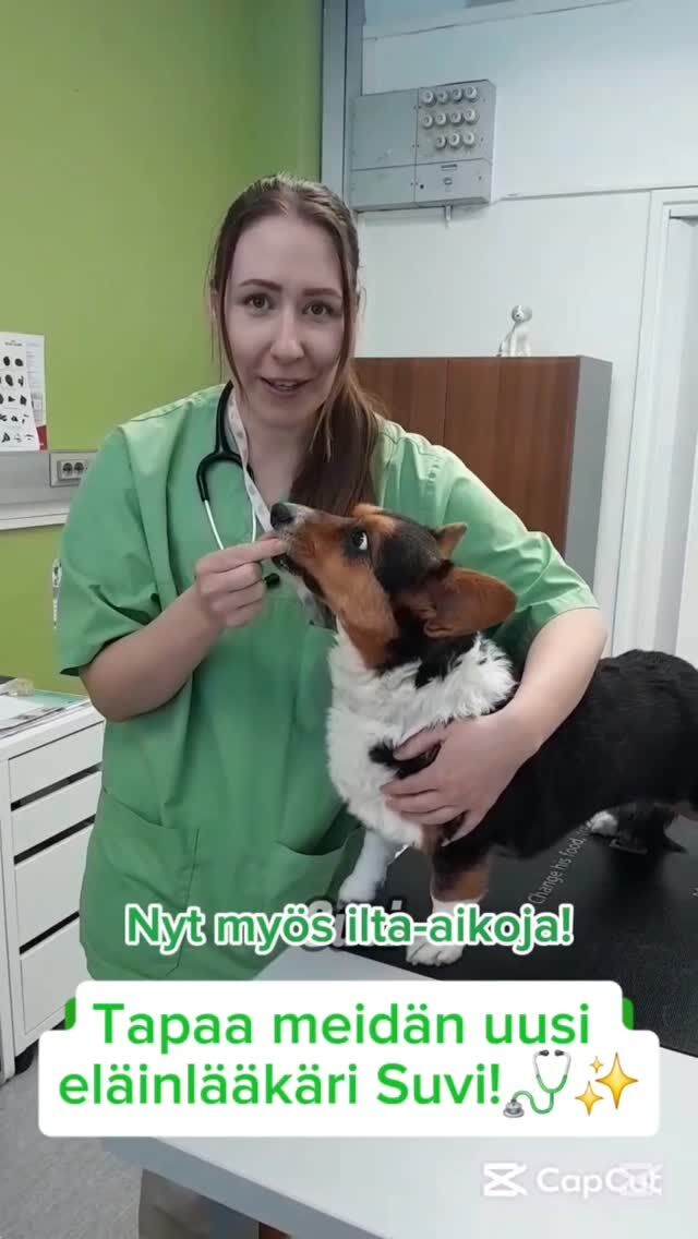 TÄNÄÄN SE ALKAA: Tassulan ekat iltavuorot! 🌜💚
Meillä on juhlapäivä, sillä tästä päivästä alkaen palvelemme sinua ja sun lemmikkiä iltaisin klo 20.00 asti! 🥳Samalla on korkea aika esitellä meidän tiimin uusin vahvistus, eläinlääkäri Suvi. Suvi on se rauhallinen ammattilainen, jonka tapaat meillä usein juuri näissä uusissa iltavuoroissa. 🩺✨Suvi tuo Tassulaan mukanaan kivenkovaa osaamista:
✅ Akuuttipotilaat & hätäleikkaukset – apu on lähellä, jos hätä iskee illalla.
✅ Sisätautidiagnostiikka – tarkkaa ja perusteellista hoitoa monimutkaisiinkin vaivoihin.
✅ Lempeä kohtaaminen – Suvi huolehtii, että niin potilas, kuin omistajakin voivat olla levollisin mielin.Myö ollaan eka klinikka Etelä-Kymenlaaksossa, joka tarjoaa näin laajat aukioloajat kotikonnuilla. Meillä päätökset tehdään hoidon laatu ja lemmikin paras edellä, ei suurten ketjujen tai pörssikurssien ehdoilla. 🇫🇮
#avainlippu&kotimaistapalveluaUudet aukioloajat (2.3. alkaen):
🗓️ Ma, Ti, To, Pe: 09.00 – 20.00
🗓️ Ke: 09.00 – 17.00
Katso videolta Suvin terveiset ja tule moikkaamaan meitä myös iltaisin! 😍🌟Varaa aikasi iltaan tästä: https://elainklinikkatassula.fi/ajanvarausJos sun lemmikillä on hätä, soita meille!
Voit myös soittaa meille iltaisin ma, ti, to ja pe klo 19.30 saakka p. 0400 322 686, jos lemmikilläsi on hätä tai se sairastuu äkillisesti!❤️🏥Otamme vastaan potilaita koko Kymenlaakson alueelta, ja kauempaakin!Tervetuloa saamaan Etelä-Kymenlaakson Parasta Eläinlääkäri-asiakaspalvelua nyt myös iltaisin! 🤗 🩺✨️Terkuin, koko Tassulan väki ❤️#EläinklinikkaTassula #Kotka #Kymenlaakso #iltaisineläinlääkäriin