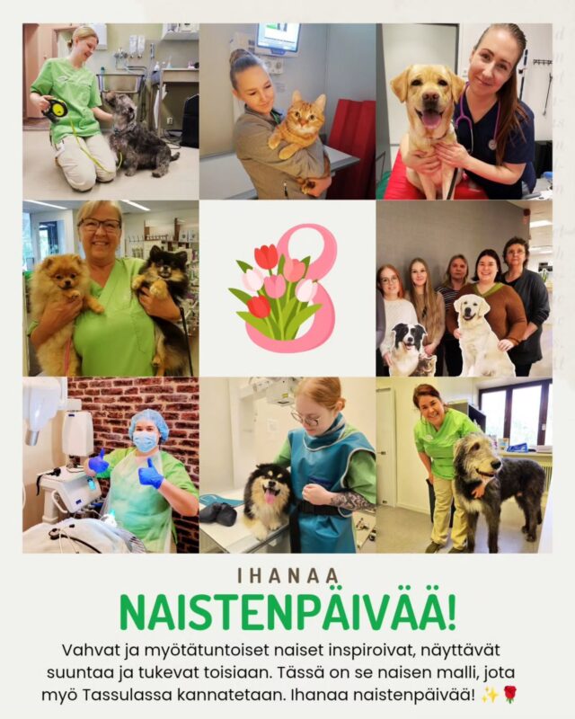 Hyvää naistenpäivää kaikille upeille naisille! 🌹✨Vahvat ja myötätuntoiset naiset inspiroivat, näyttävät suuntaa ja tukevat toisiaan. Tässä on se naisen malli, jota myö Tassulassa kannatetaan ja josta myö ammennetaan voimaa jokaiseen päivään. 💪💚Meiän tiimi on täynnä rautaista osaamista ja suurta sydäntä. Myö ollaan ylpeitä siitä, että saadaan hoitaa sun lemmikkiä täydellä asiantuntemuksella, mutta aina lempeästi kohdaten.Lempeys ja asiantuntijuus kun ei sulje toisiaan pois. Sen sijaan ne täydentää toisiaan, ja tekee hoidosta parasta mahdollista.💚Eläinlääkintäala onkin yksi esimerkki naisvaltaisesta alasta, ja meillä Tassulassakin työskentelee 11 upeaa ja taitavaa naista.
Naisyrittäjänä uskon siihen, että paras hoito syntyy silloin, kun asiantuntijuus ja aito välittäminen potilaasta kulkevat rinnakkain. 👩⚕️🩺Kiitos kaikille teille upeille naisille, jotka teette tästä maailmasta (ja Tassulasta!) paremman paikan. Nautitaan päivästämme! 🥂🐾Terkuin, Anne & Tassulan väki ❤️#naistenpäivä #naisyrittäjyys #naisenergiaa #kotka #eläinklinikkatassula
