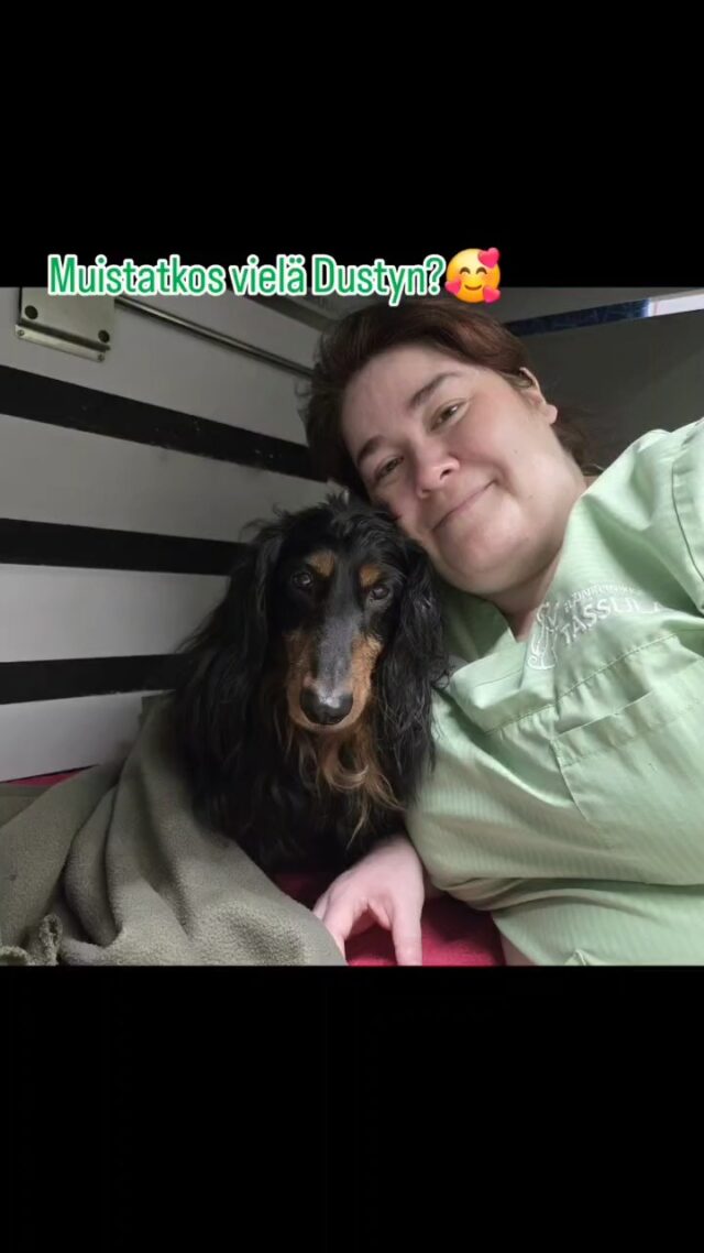 Muistatko vielä Dustyn? 😍 Tää reipas mäyräkoira tuli sulle ehkä tutuksi muutama viikko sitten meidän somessa, ja nyt oli vuorossa Dustyn toinen hammasoperaatio.Meidän superhammastiimi – ell Anne ja hoitaja Krista – piti huolen, että kaikki sujui ihan loistavasti. Anne hoiti operoinnin ja Krista vahti Dustyn unen tasapainoa koko matkan ajan. ✨Dusty on kyllä melkoinen sissi: heti herättyään sille tuli kova kiire päästä tutkimusmatkalle! Myö käytettiinkin poika pienellä klinikkakierroksella nuuskimassa kulmia ennen kotiinlähtöä. 🕵️♂️🐾 Ei siinä ehtinyt edes leluja katsomaan, kun piti jo päästä vauhtiin.On Dusty vaan huipputyyppi! ❤️ Parantuminen on sujunut erinomaisesti, ja kontrollissakin häntä heilui niin, ettei vointia tarvinnut kysellä.Hampaiden hoito on välillä pidempi projekti, mut Dustyn iloinen ilme kertoi kaikille, että se kannattaa. Oothan siäkin muistanut kurkata sun oman karvakaverin suuhun? Jos mikään ystäväsi hampaiden kunnossa huolettaa, myö ollaan täällä sinua varten! 🦷✨PS. Äänestitkö jo meitä finaalissa?😍 Kymen Sanomien Paras asiakaspalvelija- äänestykseen päästiin Tassulasta ennätyksellisesti 3 ehdokkaan voimin!🥰🙏Päätettiin yhdessä, että keskitetään äänet ja näin voidaan parhaiten saada meille kaikille, Tassulalaisille ja Kotkalaisille voitto kotiin!🤗🏆Eli kun äänestät Annea, äänestät meidän ihan koko tiimiä!💚 Käy nakkaamassa finaaliääni nyt, sillä äänestys loppuun jo ihan just! Äänestämään pääset täältä 👇 https://www.kymensanomat.fi/paikalliset/9146406 (suora linkki biossa)#Tassula #Mäyräkoira #Hammashuolto #KoiranHammaslääkäri #IloinenPotilas #Klinikkakierros #Kotka