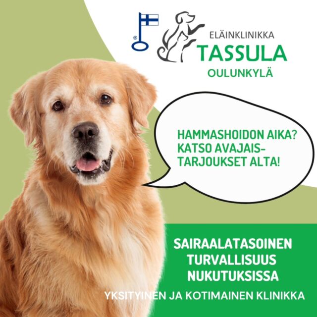 Suu turvallisesti kuntoon kampanjahinnalla!🤗 🐾Päätimme jatkaa supersuosittua hammaskampanjaa loppuvuoden ajan!Meillä nukutus tehdään sairaalatasoisen turvallisesti, eikä vanhuus tai sairaus (esim. munuais- tai sydänsairaus) ole este, vaan hoidamme suun kuntoon turvallisesti!❤️🥳HAMMASHOITO eli hampaiden puhdistus ja tarkastus, SEKÄ KOKO SUUN RÖNTGENKUVAUS nyt avajaishintaan loppuvuoden ajan
🎉 koiralle 400 e
🎉 kissalle 350 eHintaan lisätään lemmikillesi nukutuksen aikana annetut ja mukaan luovutettavat lääkkeet 😊
📞Ajan voit varata soittamalla
p. 0400 322 686 tai
✉️sähköpostitse oulunkyla@elainklinikkatassula.fi🏩Osoitteemme on Mäkitorpantie 21 A, Oulunkylä, Helsinki 😊🇫🇮Tassula on kotimainen ja yksityinen, suomalaisen eläinlääkärin Anne Brucen omistama yritys, ja meillä on toimipisteet Kotkassa sekä Oulunkylässä Helsingissä. Tassula on perustettu vuonna 2015. Oulunkylän toimipiste on avattu syyskuussa.⭐️⭐️⭐️⭐️⭐️ Ihanat asiakkaamme ovat antaneet meille lukemattomia viiden tähden arvosteluja.👩‍⚕️Todella osaavat eläinlääkärimme ja hoitajamme auttavat niin äkillisissä kuin kroonisissa sairastumisissa. Hoidamme:💚 hammassairaudet, niin kirurgista hoitoa, kuin esim. paikkausta tai pinnoitusta vailla olevat potilaat
💚pehmytosakirurgiset potilaat, esim. pattien/kasvainten poistot, sterilaatiot ja kastraatiot, virtsakivileikkaukset, märkäkohtuleikkaukset ja suolistoleikkaukset
💚sisätaudit, esim. munuais-, maksa- ja sappisairaudet, vatsa/suolistovaivat, kilpirauhassairaudet ja diabetes
💚iho- ja korvasairaudet, allergiat
💚akuutit sairastumiset
💚rokotukset ja terveystarkastukset
💚ultraääni- ja röntgentutkimuksia tarvitsevat potilaat🩻Meiltä löytyvät klinikoilta laadukkaat ja nykyaikaiset röntgen, ultra, laboratorio ja hammasröntgen.👩‍⚕️Eläinlääkäreinä meillä Oulunkylässä ovat Vappu Hukkinen (sisätaudit, kasvainsairaudet), Noora Pöytälaakso (hammashoidot ja hammaskirurgia), Laura Ellonen (kirurgia, äkilliset/kroonisemmat sairastumiset, iho- ja korvasairaudet) ja Susanna Mäkelä (hammashoidot ja hammaskirurgia, äkilliset/kroonisemmat sairastumiset, korva- ja ihosairaudet) 🥰Tervetuloa Tassulaan!🤗🐾