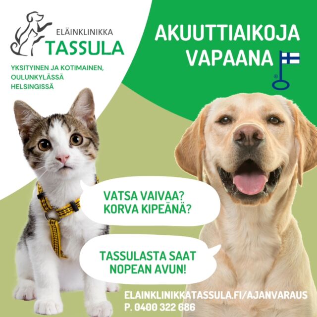 Nopea apu lemmikillesi!❤️🐾Tassulan osaavat eläinlääkärit ja hoitajat auttavat äkillisessä hädässä nopeasti 🤗Varaa siis aika ja autamme!❤️Ajan voit varata:
☎️p. 0400 322 686
💻24/7 nettiajanvaraus
https://elainklinikkatassula.fi
✉️ sähköpostitse oulunkyla@elainklinikkatassula.fi👩‍⚕️Hoidamme esim:
💚 akuutit hammasmurtumat ja hampaiden paikkaukset
💚virtsavaivat
💚mahavaivat, niin äkilliset ripulivaivat kuin oksentelut tai närästelyt
💚ihotulehdukset
💚korvatulehdukset
💚silmävaivat
💚anaalirauhasvaivat
💚äkillisen ontumat ja kiputilat
💚nopeaa leikkausta vaativat potilaat, esim. märkäkohtuleikkaukset, virtsakivileikkaukset ja vierasesineleikkaukset🩻Meiltä löytyvät laadukkaat ja nykyaikaiset röntgen, ultra, laboratorio ja hammasröntgen🇫🇮Tassula on kotimainen ja yksityinen, suomalaisen eläinlääkärin Anne Brucen omistama yritys, ja meillä on toimipisteet Kotkassa sekä Oulunkylässä Helsingissä. Tassula on perustettu vuonna 2015. Oulunkylän toimipiste on avattu syyskuussa.⭐️⭐️⭐️⭐️⭐️ Ihanat asiakkaamme ovat antaneet meille lukemattomia viiden tähden arvosteluja.👩‍⚕️Eläinlääkäreinä meillä Oulunkylässä ovat Vappu Hukkinen, Noora Pöytälaakso, Laura Ellonen ja Susanna Mäkelä😍Tassulasta saat myös heti mukaan tarvittavat hoitotuotteet ja -ruoat, jotta  hoito saadaan heti alulle 😋 Ruokaostoksiin saat myös kannattavat kanta-asiakasedut!🤗Tervetuloa Tassulaan!🤩🐾